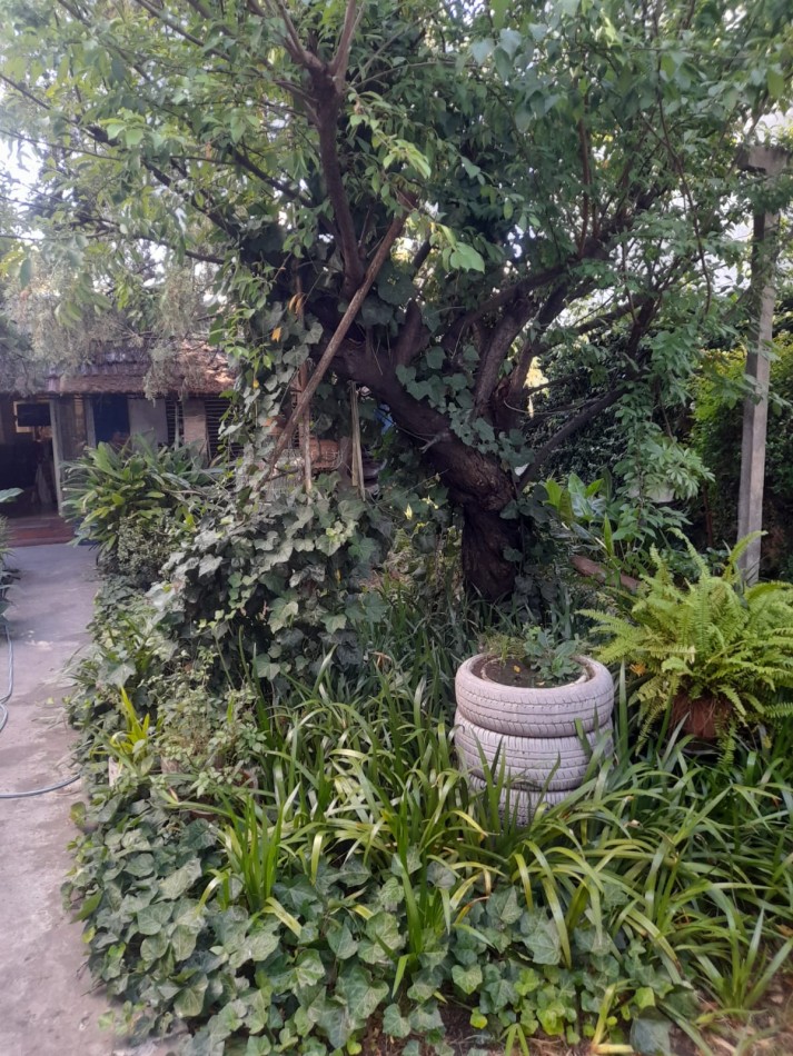 Casa 5 amb Tropezon