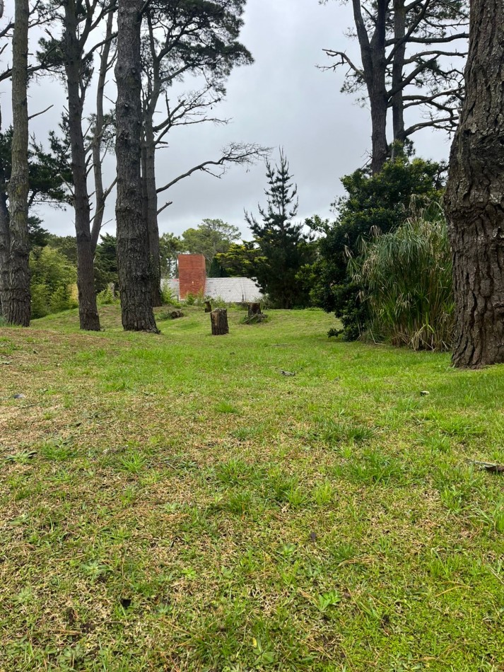venta de lote oportunidad zona tridente 