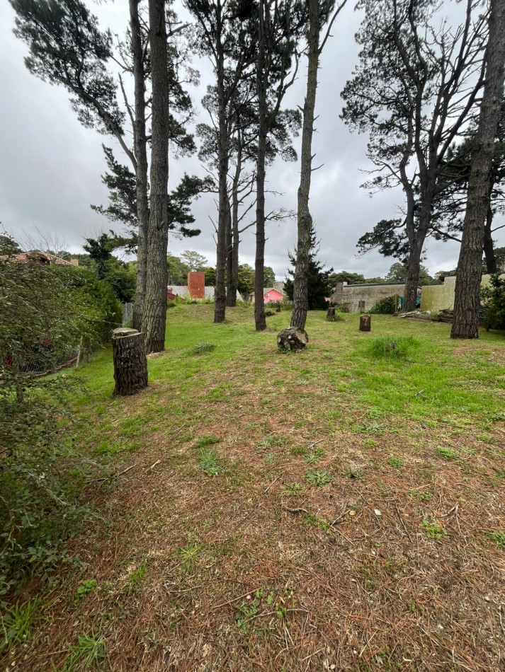 venta de lote oportunidad zona tridente 