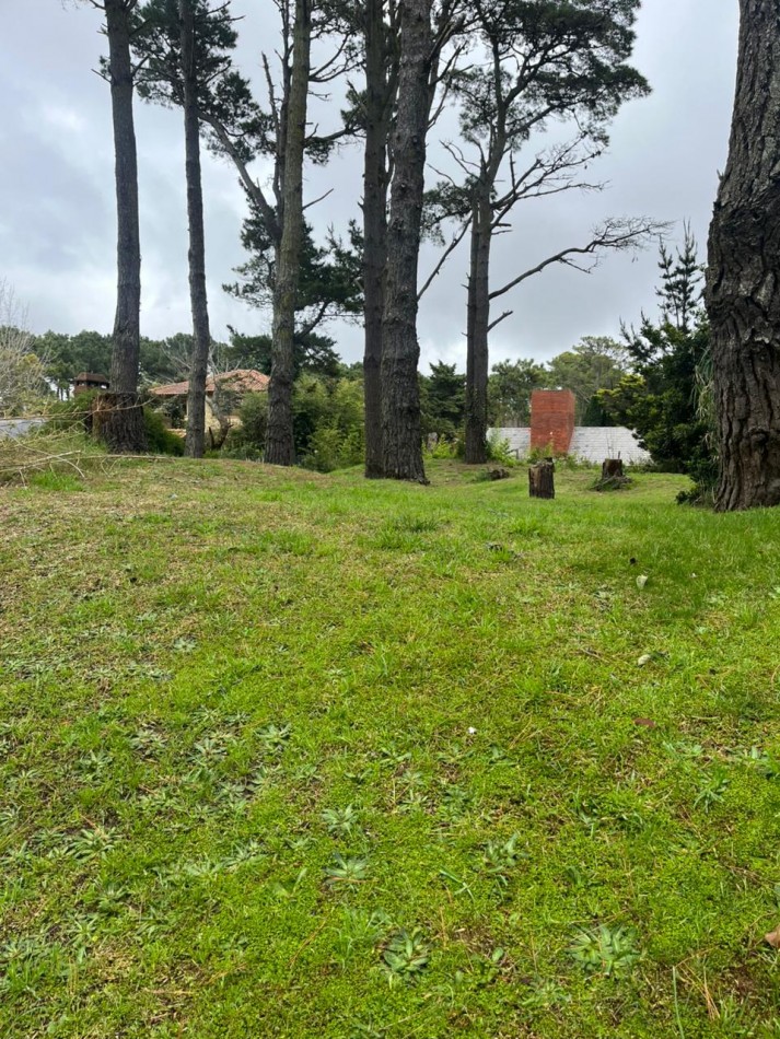 venta de lote oportunidad zona tridente 