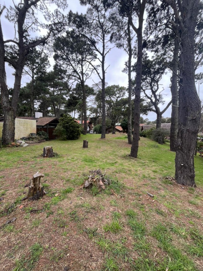 venta de lote oportunidad zona tridente 