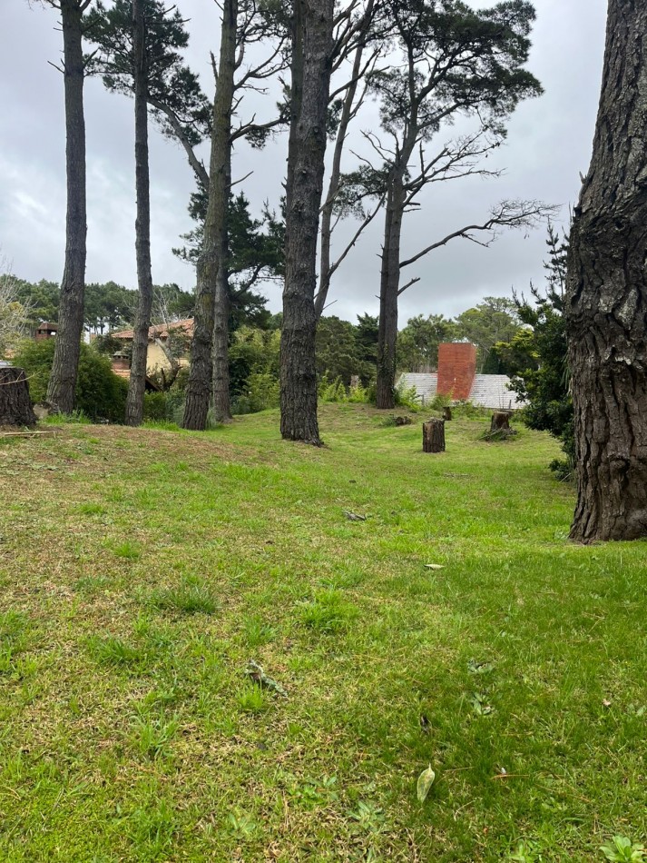 venta de lote oportunidad zona tridente 