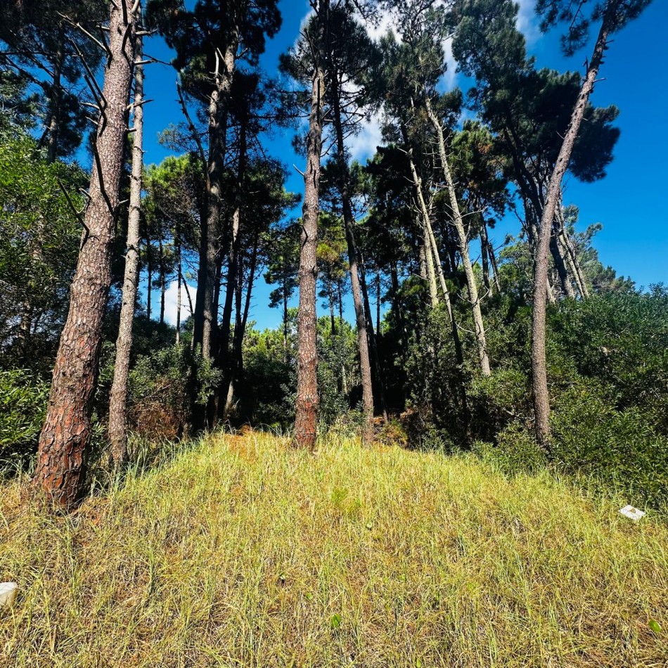 Lote en barrio Alamos Barlovento y Vela mayor 