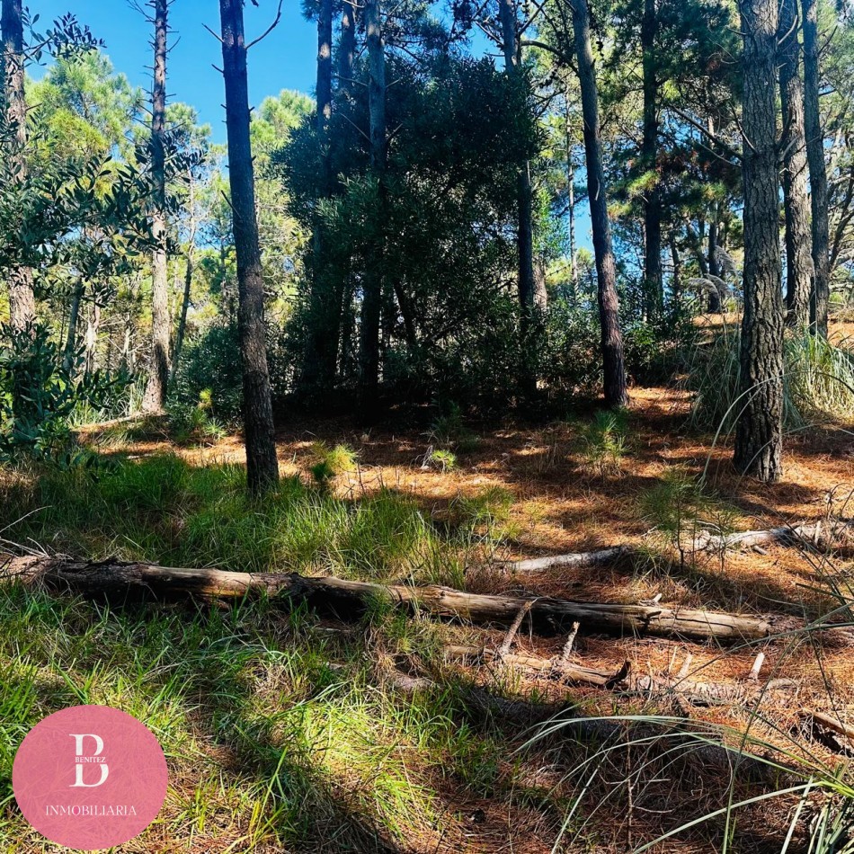 Lote en barrio Alamos Pinamar Norte - Barlovento y vela mayor 