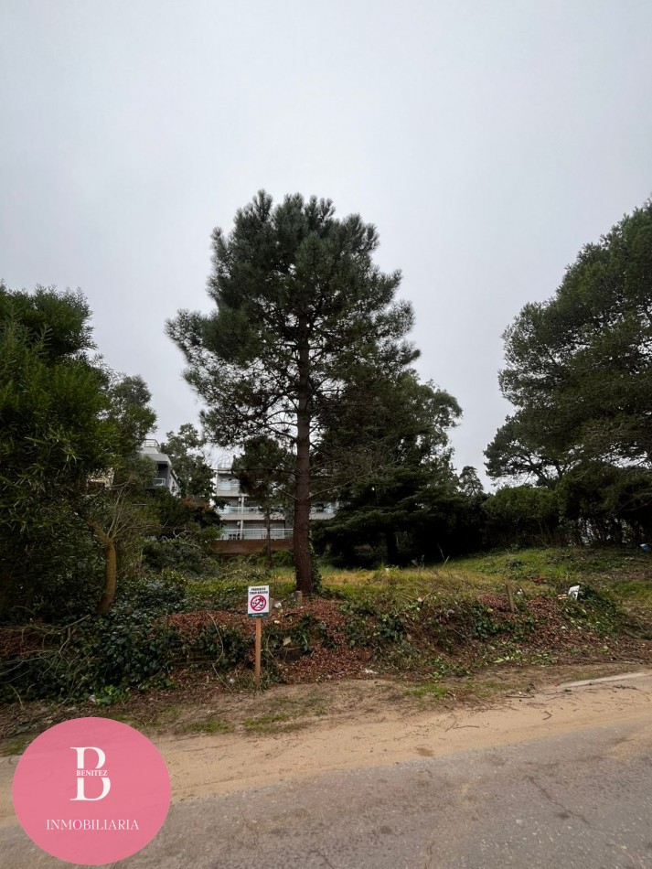 Lote Multifamiliar Pinamar Centro 800m2