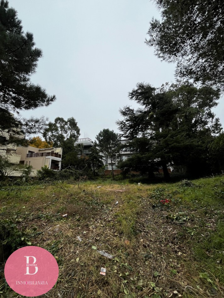 Lote Multifamiliar Pinamar Centro 800m2