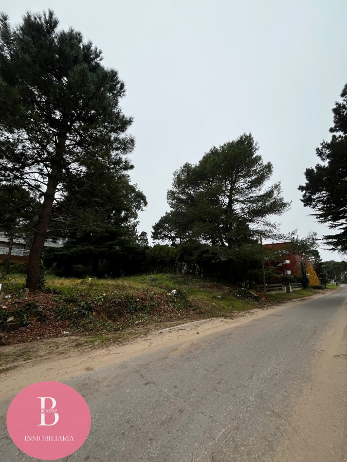 Lote Multifamiliar Pinamar Centro 800m2