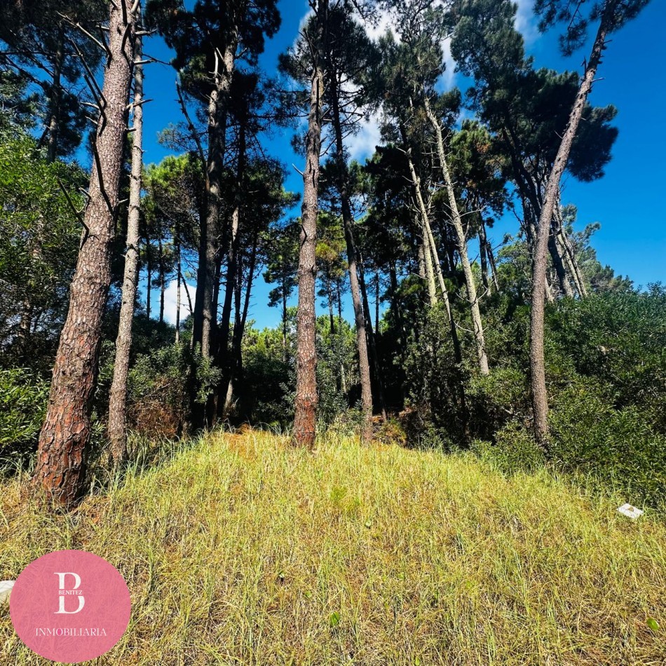 Lote en barrio Alamos Pinamar Norte - Barlovento y vela mayor 