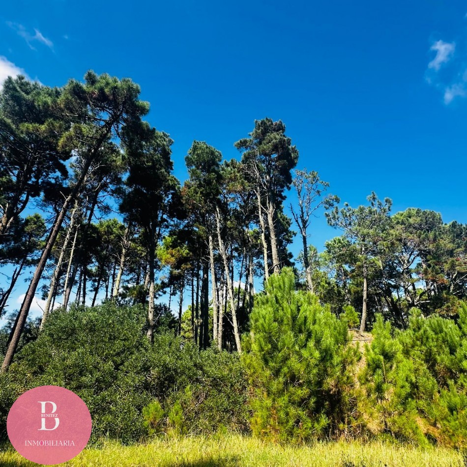 Lote en barrio Alamos Pinamar Norte - Barlovento y vela mayor 