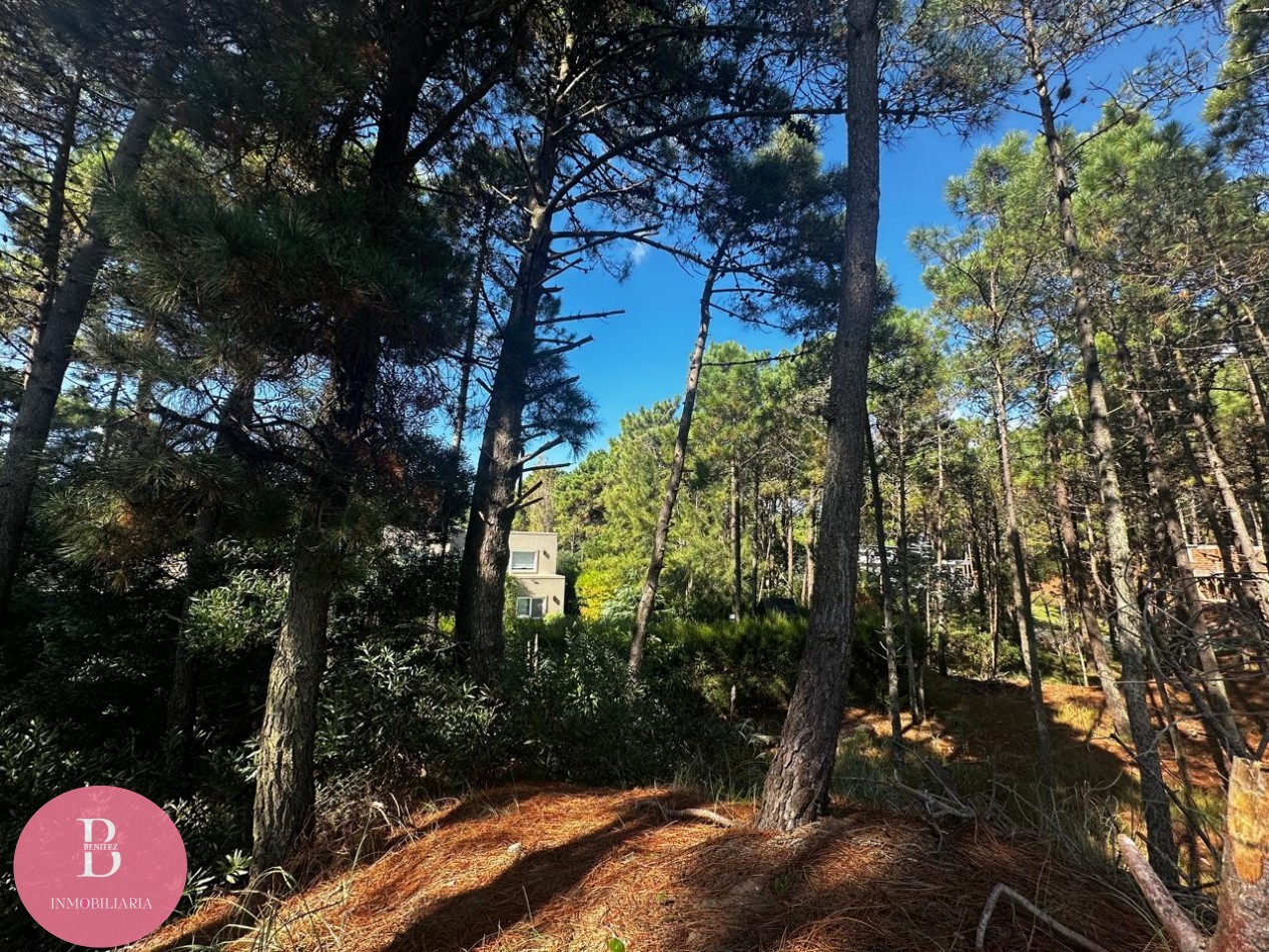 Lote en barrio Alamos Pinamar Norte - Barlovento y vela mayor 