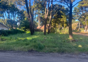 Lote, Valeria del Mar