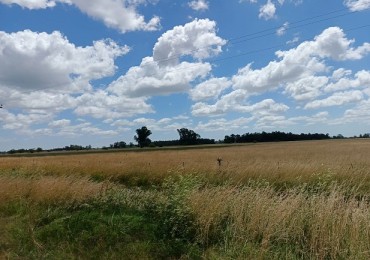 174 ha Brandsen