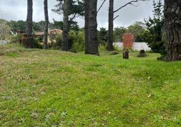 venta de lote oportunidad zona tridente 