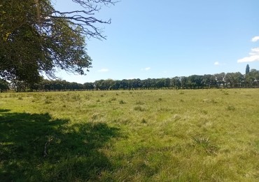 VENTA DE HECTAREAS EN ZARATE 
